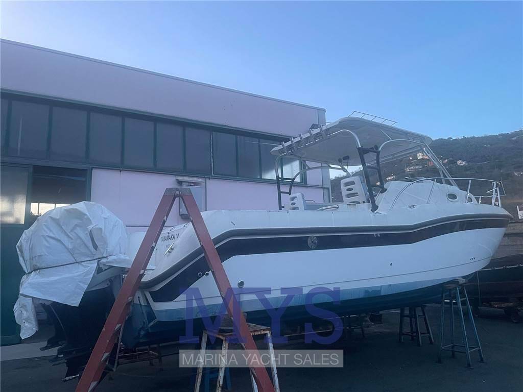 Boston whaler 305 conquest