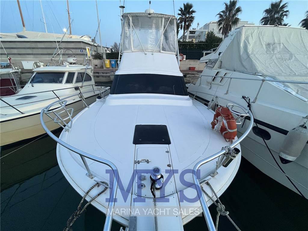 Luhrs 32 fly