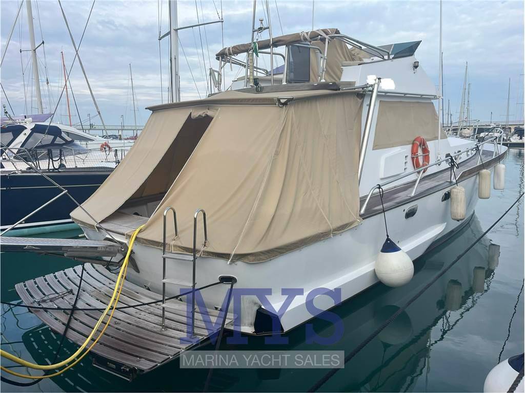 Alalunga 50
