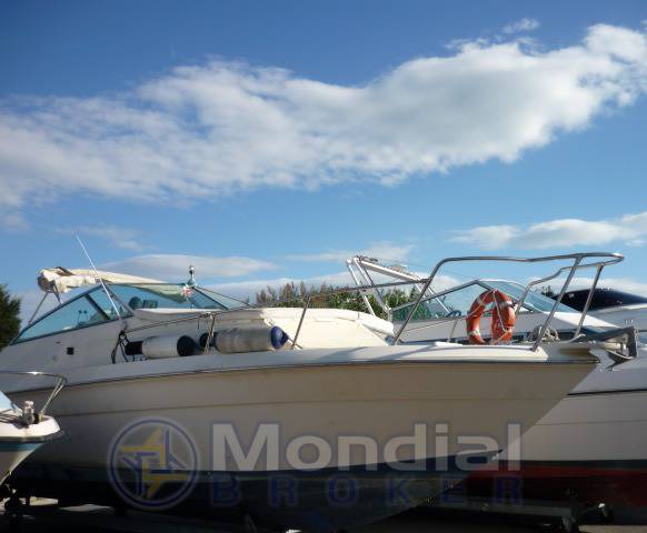 Sea ray 27