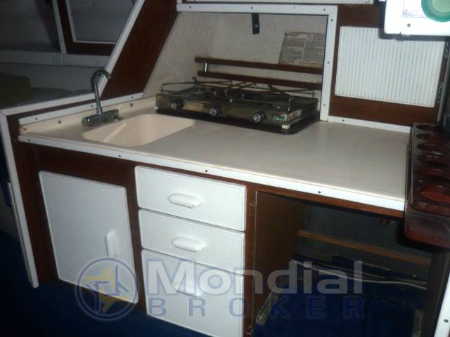 Sea ray 27
