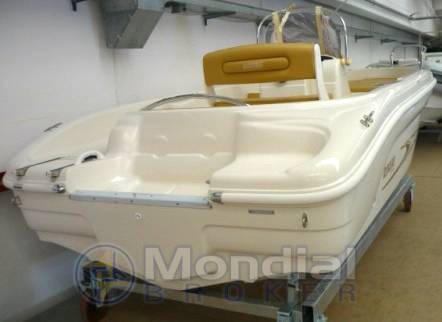 Ranieri Shark 17