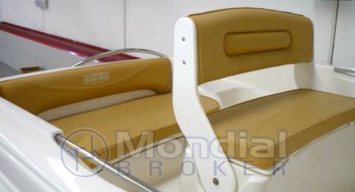 Ranieri Shark 17