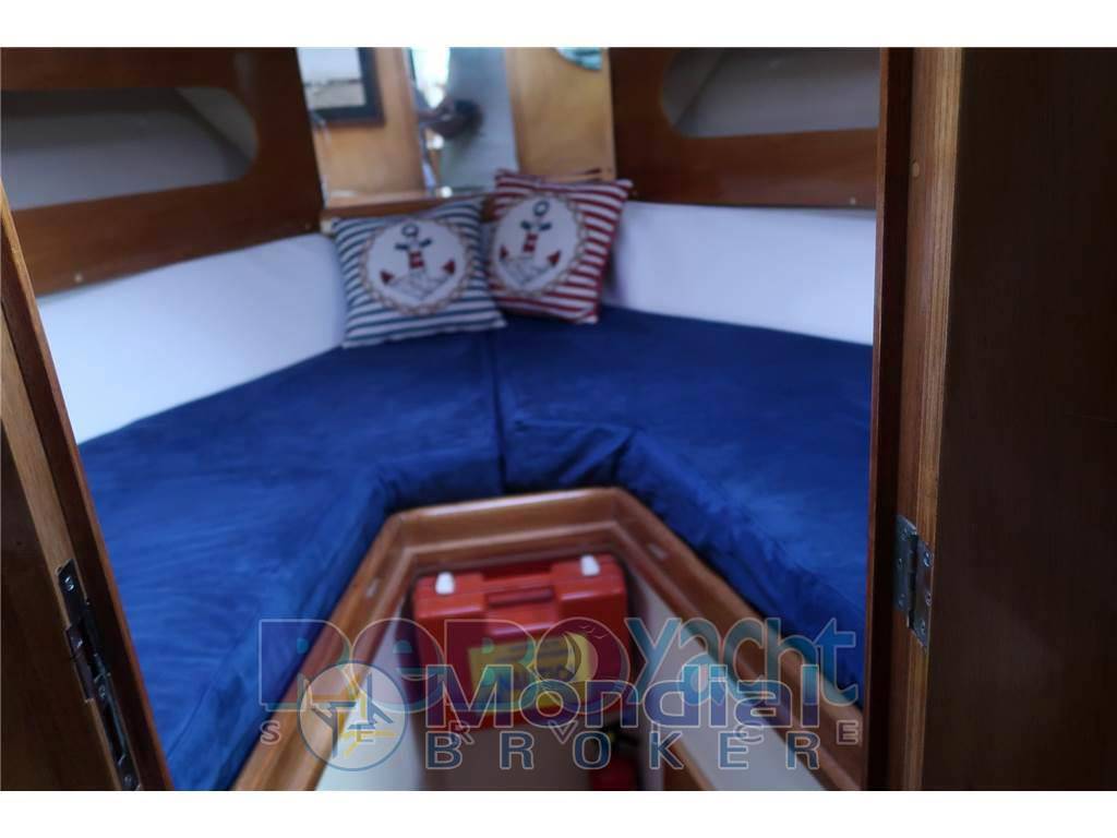 Sciallino 34