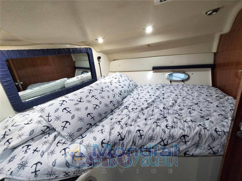 Salpa Laver 31.5