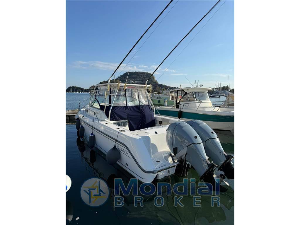 Boston whaler 295conquest