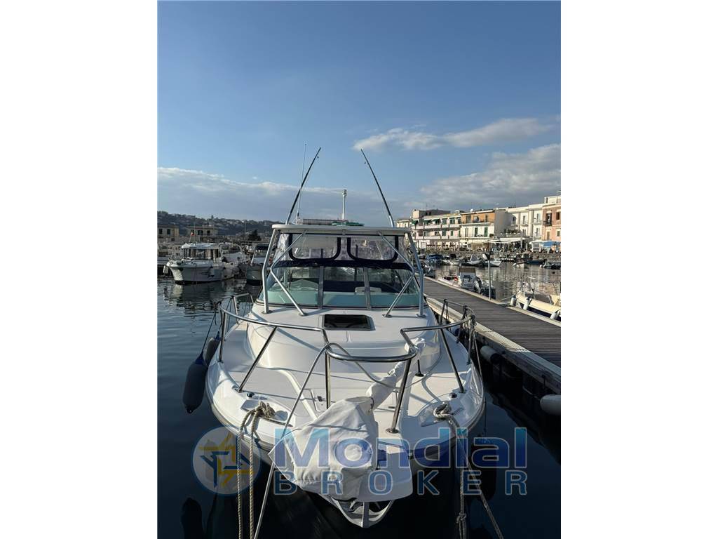 Boston whaler 295conquest