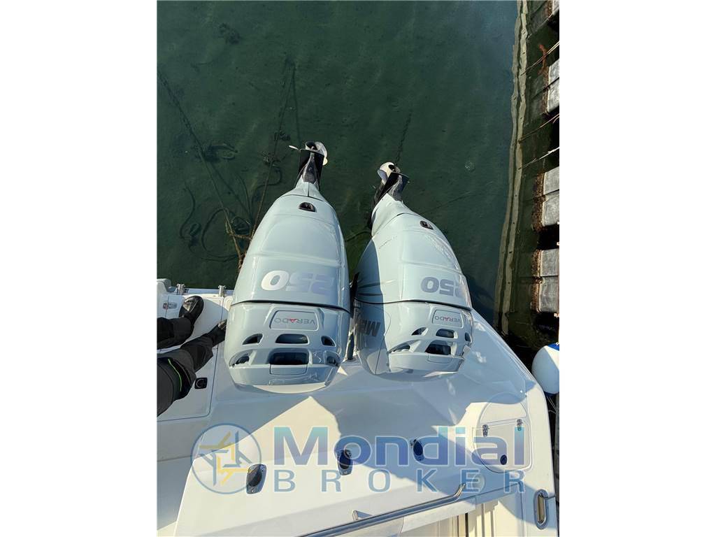 Boston whaler 295conquest