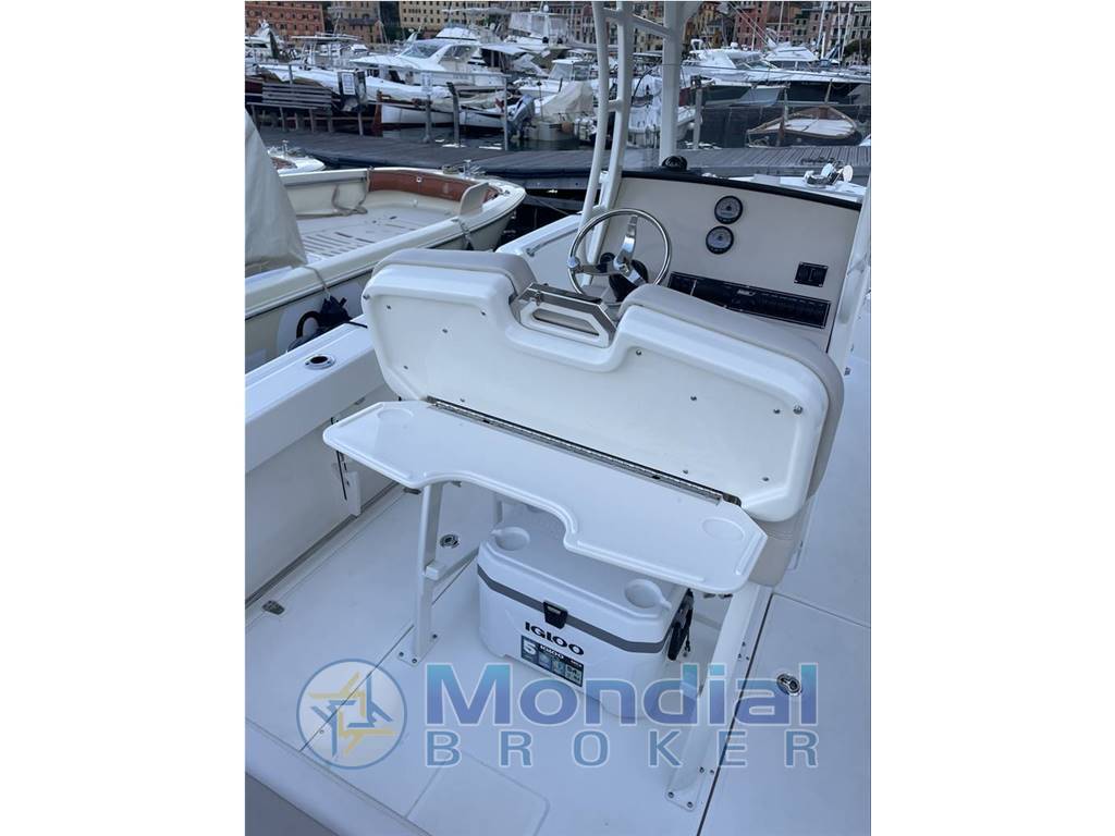 Boston whaler 230 outrage