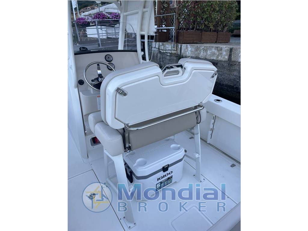 Boston whaler 230 outrage