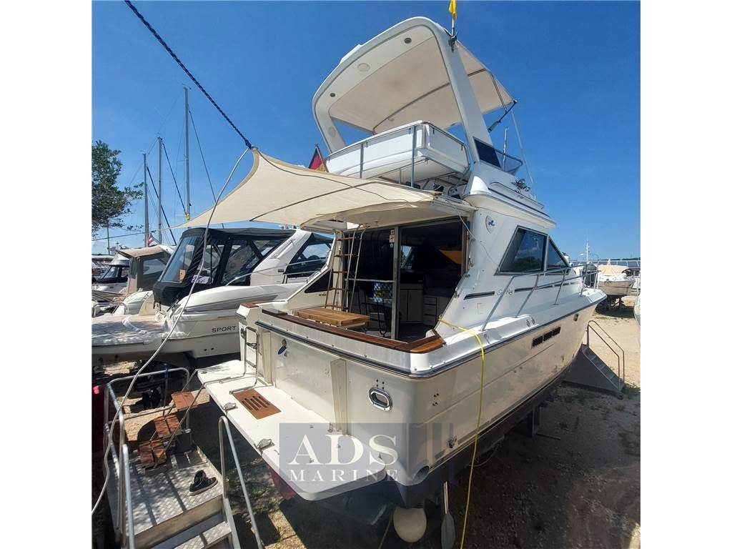 Sea ray 340 fly