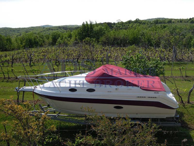 Regal 258 commodore