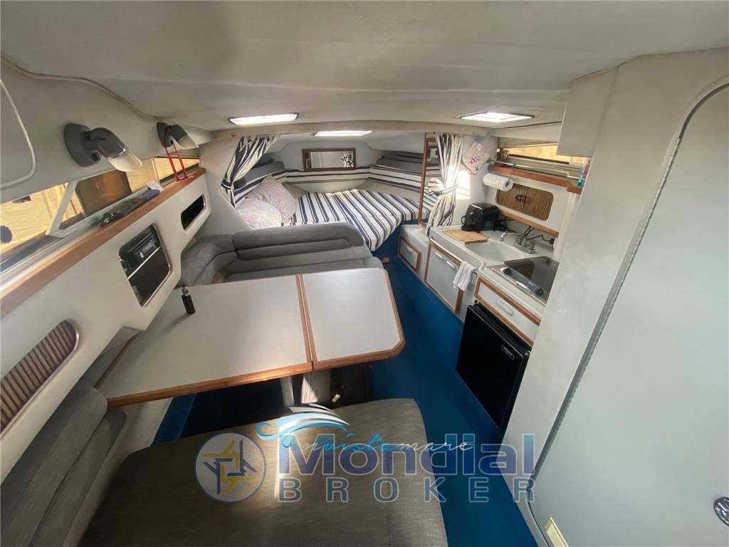 Sea ray 270 sundancer
