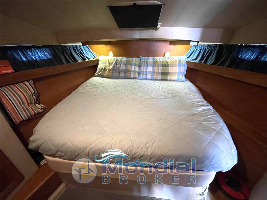 Dellapasqua Dc 11 s flying bridge