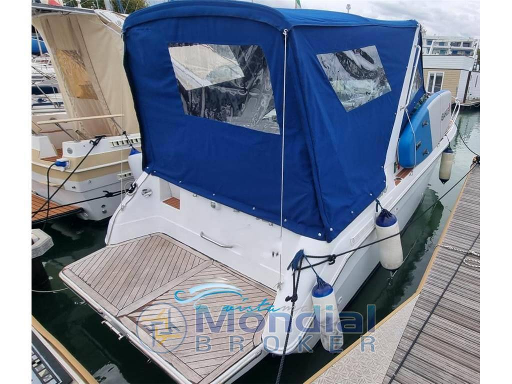 Sea ray 250 da