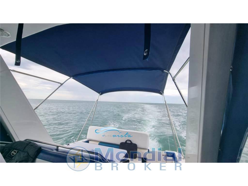 Sea ray 250 da