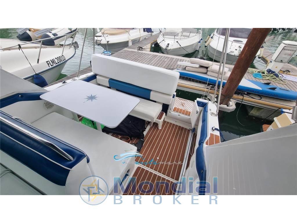 Sea ray 250 da