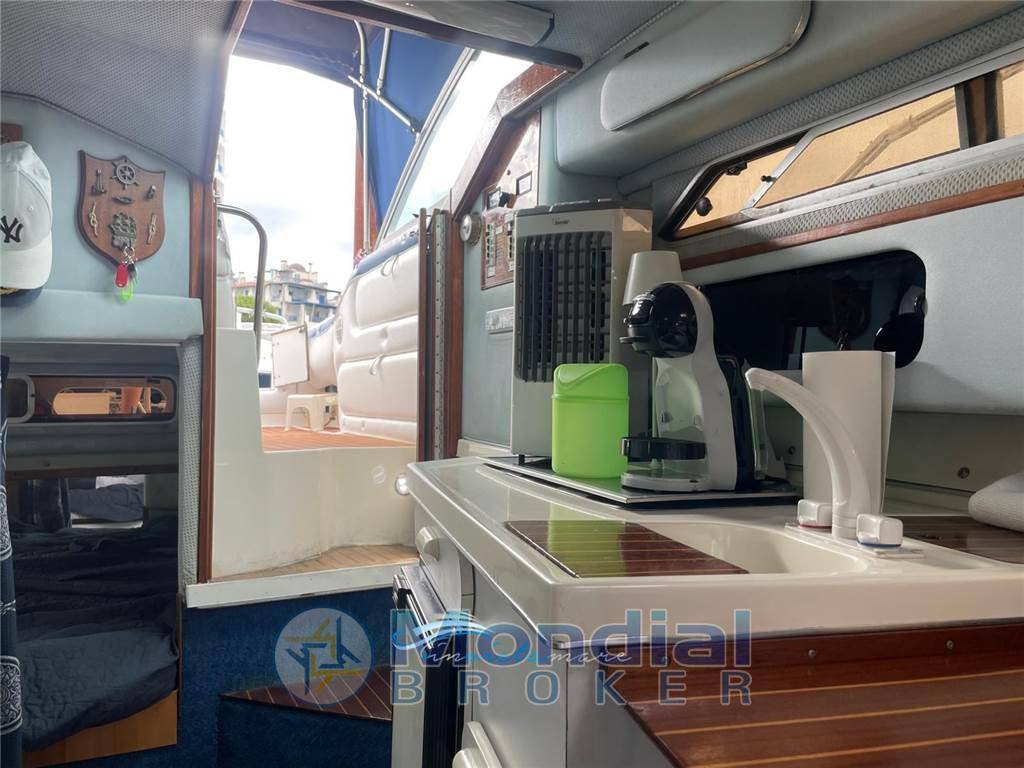 Sea ray 250 da