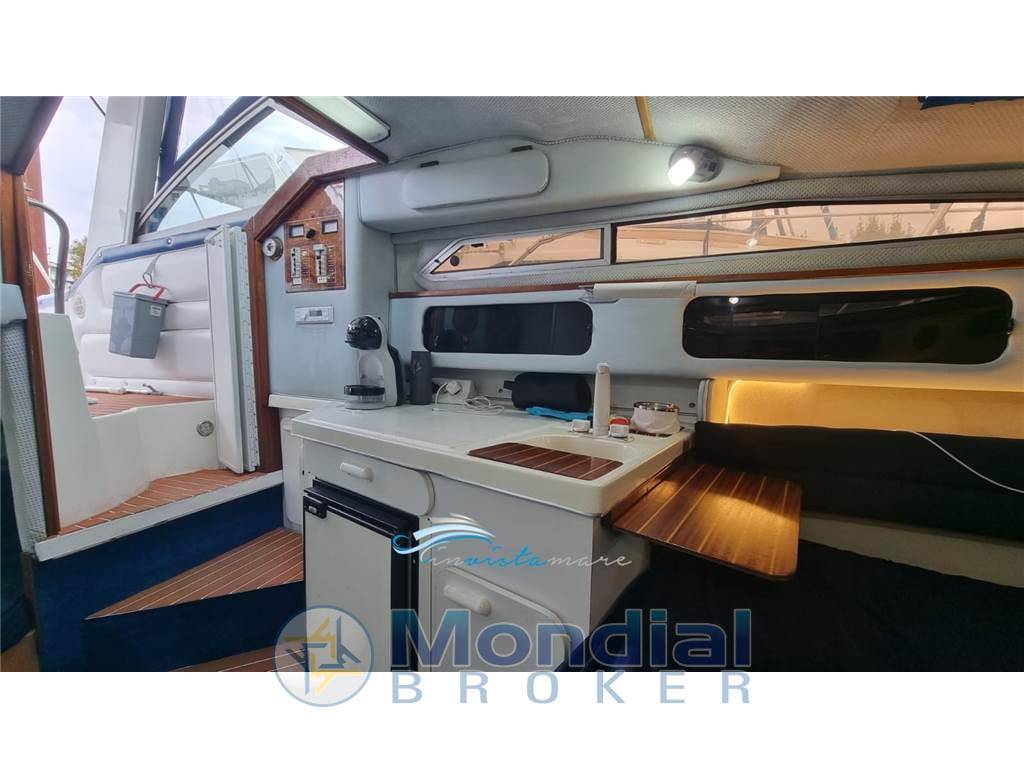 Sea ray 250 da
