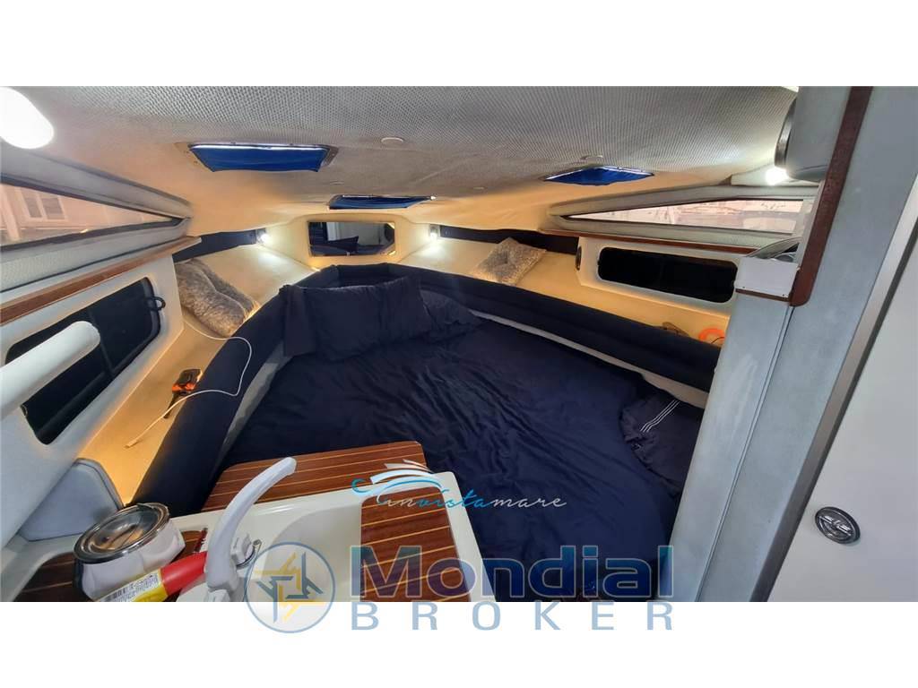 Sea ray 250 da