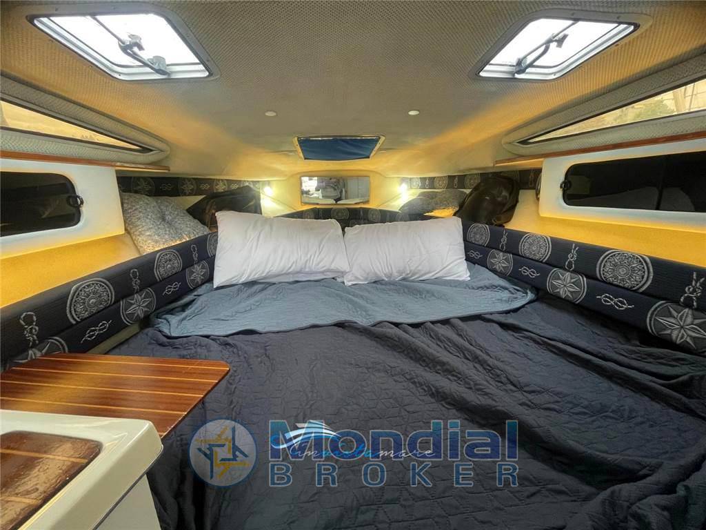 Sea ray 250 da