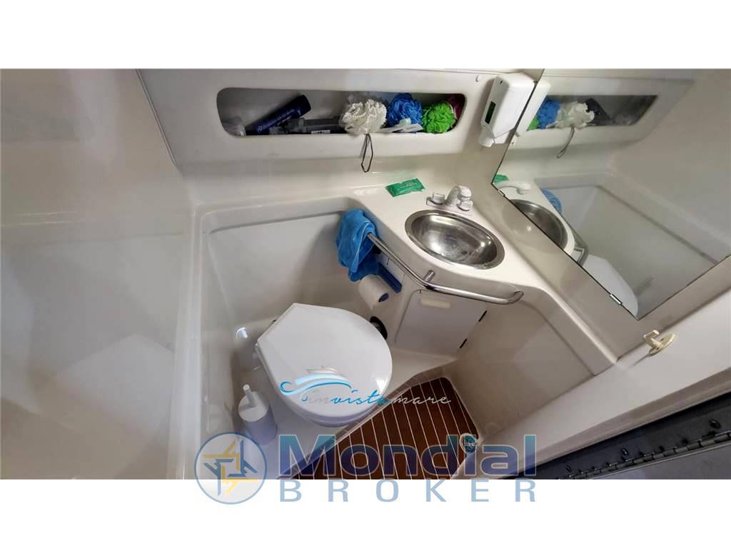 Sea ray 250 da