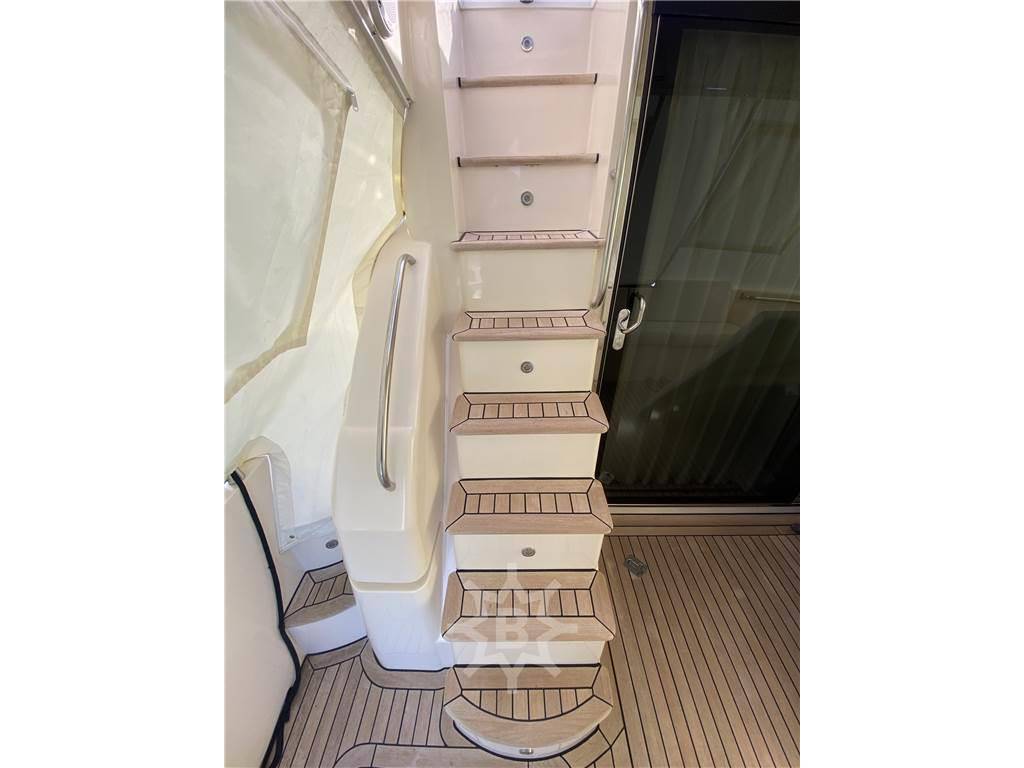 Rodman Muse 44