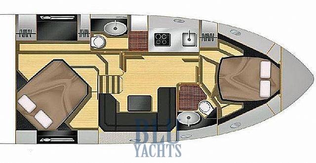 Sessa marine C43