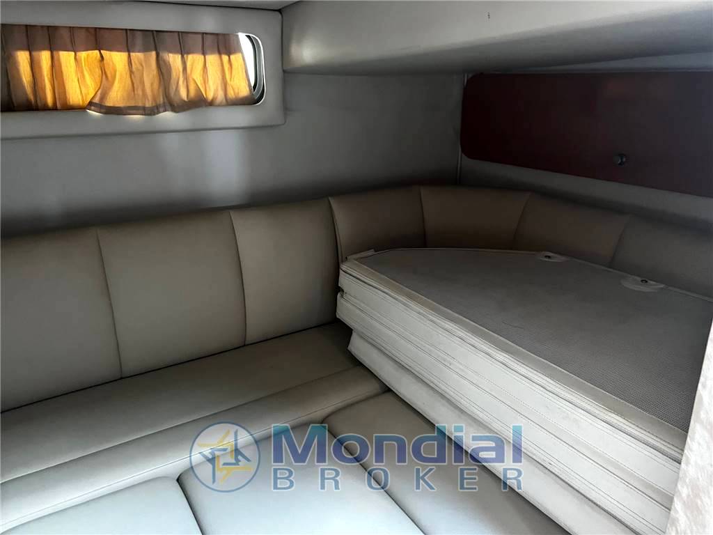 Chaparral 310 signature