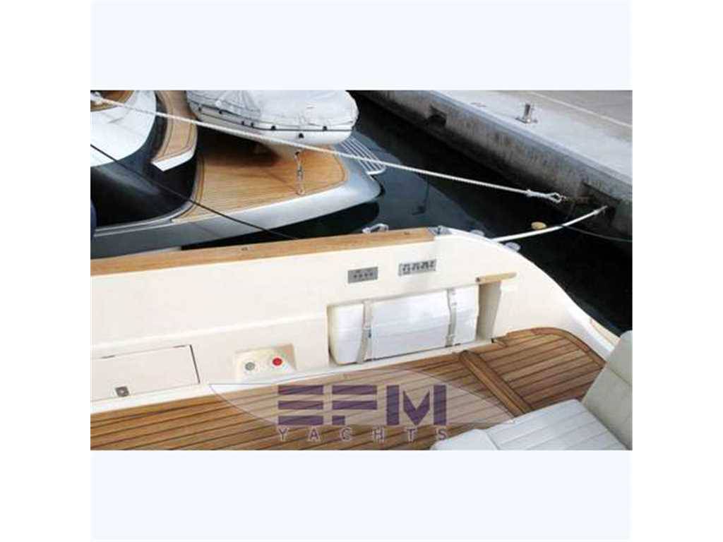 Mochi Dolphin 51