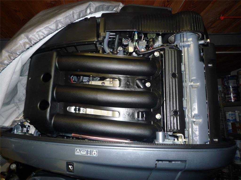 Pursuit 310 cc