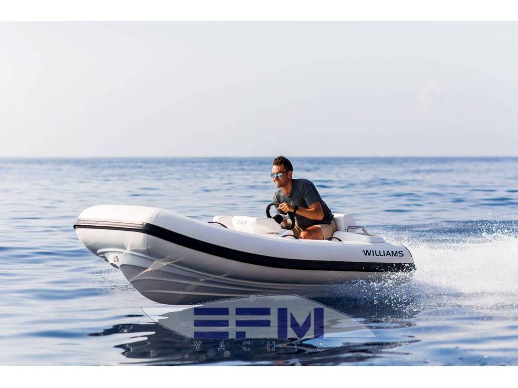 Williams jet tenders 325 turbo jet