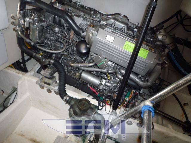 Luhrs 31 open