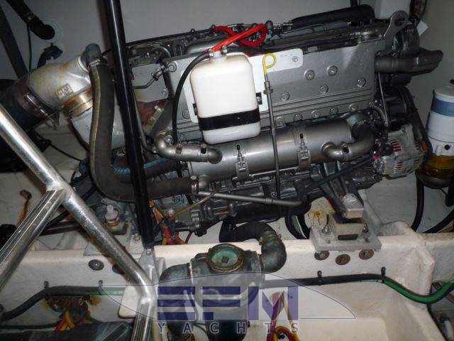 Luhrs 31 open