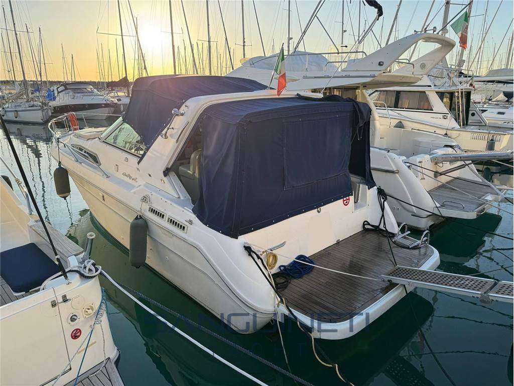 Sea ray 300