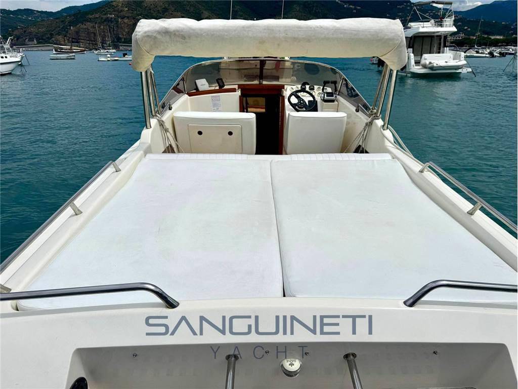 Molinari Falcon 29