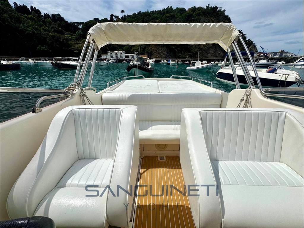 Molinari Falcon 29