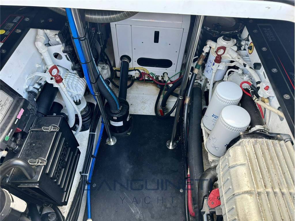 Luhrs 37 open