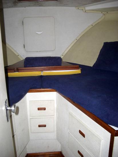 Bertram 38