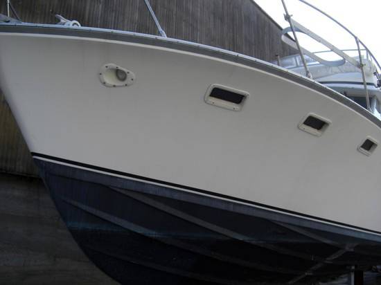 Bertram 38