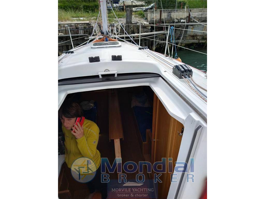 Nauti poland Focus 850