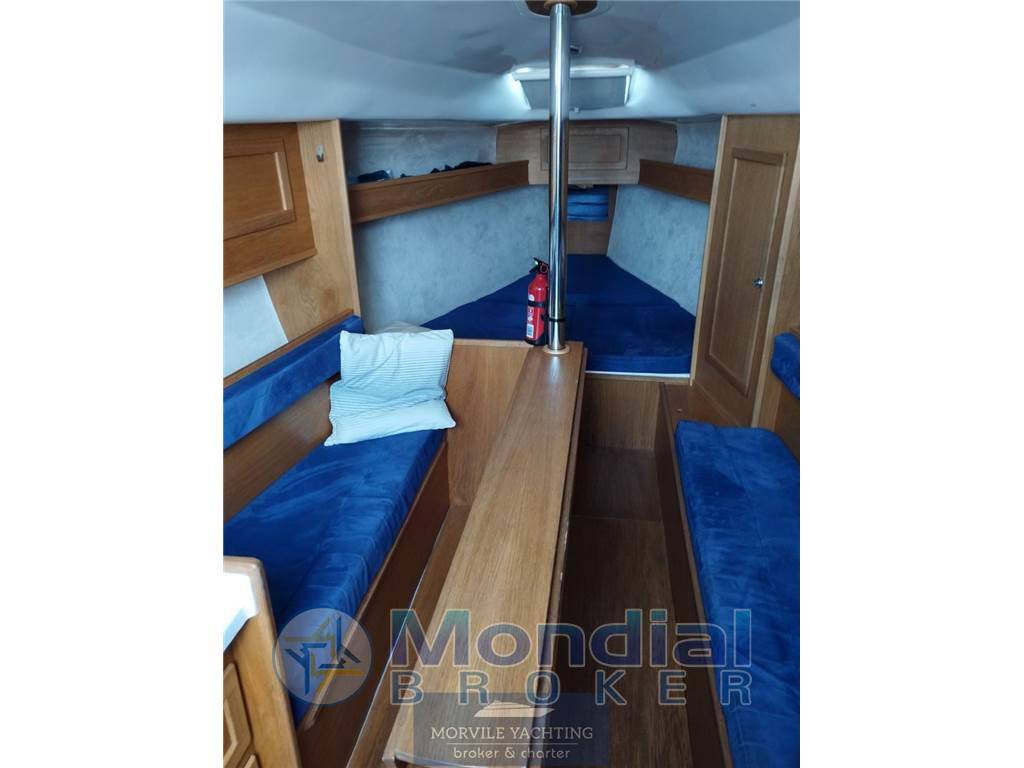 Nauti poland Focus 850