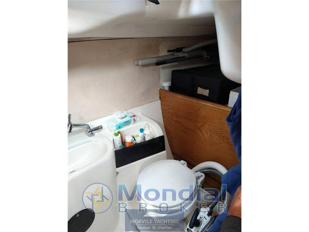 Nauti poland Focus 850