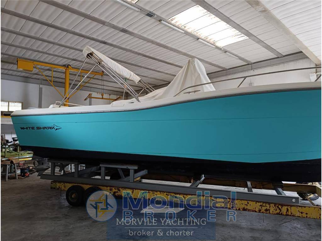 Kelt white shark 285