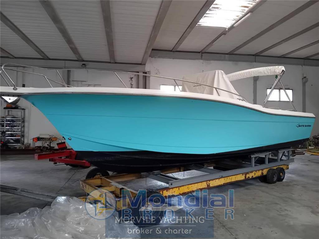 Kelt white shark 285