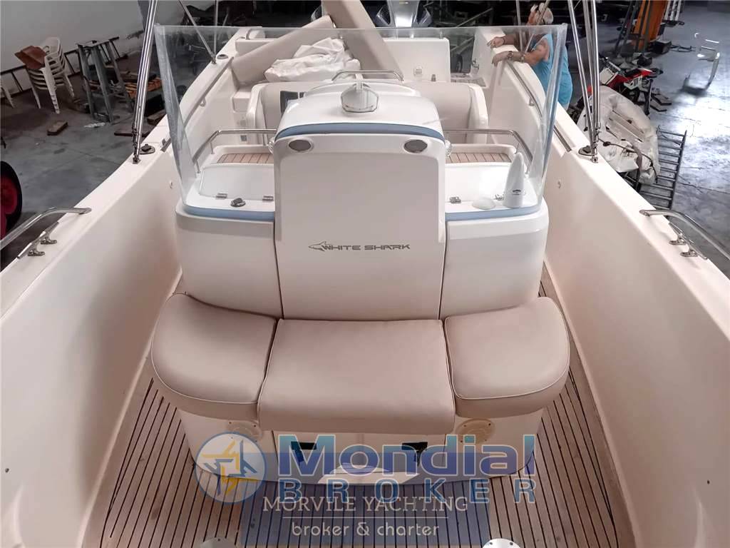 Kelt white shark 285