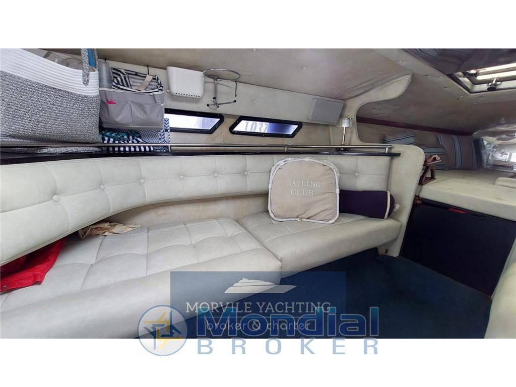 Wellcraft Scarab 34