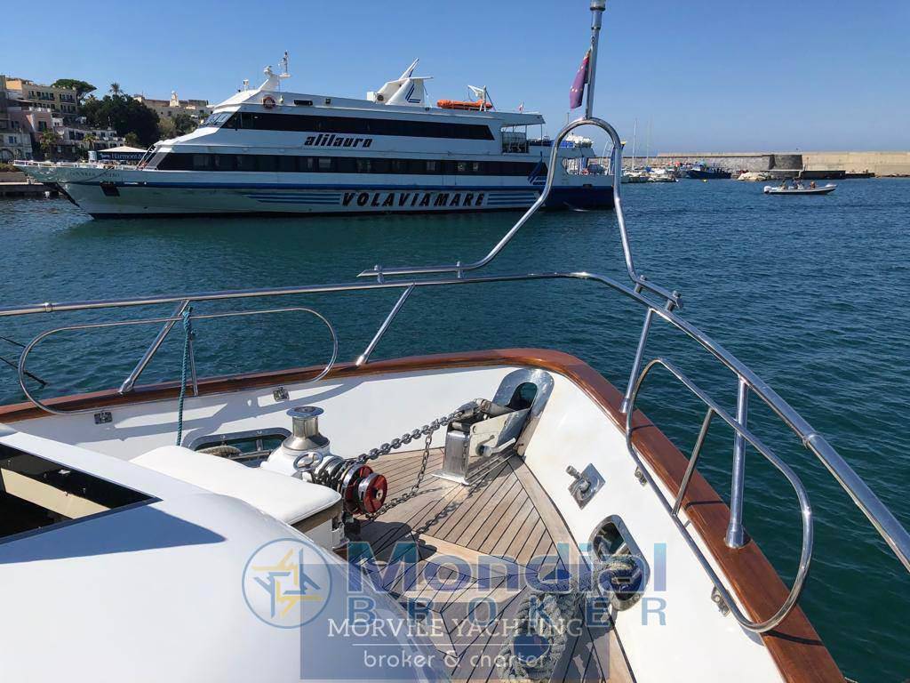 Maiora 20