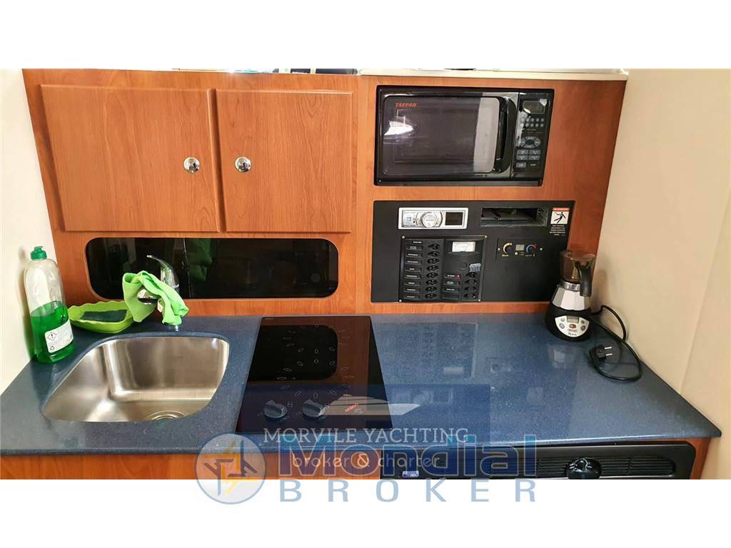 Bayliner 34 open