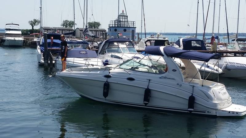 Sea ray 315 sundancer